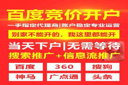 百度广告竞价策略详解：某电商平台的成功案例
